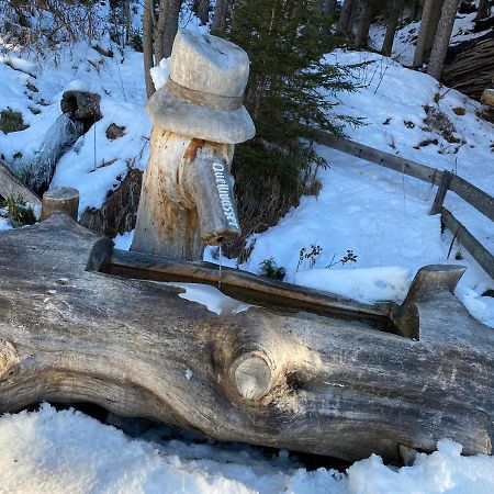 Ferienwohnung 4 Personen Alleinlage Am Wald Naehe Skigebiet Hochzeiger Jerzens Dış mekan fotoğraf