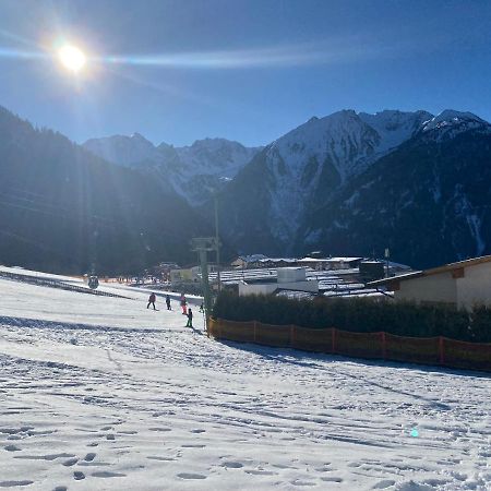 Ferienwohnung 4 Personen Alleinlage Am Wald Naehe Skigebiet Hochzeiger Jerzens Dış mekan fotoğraf
