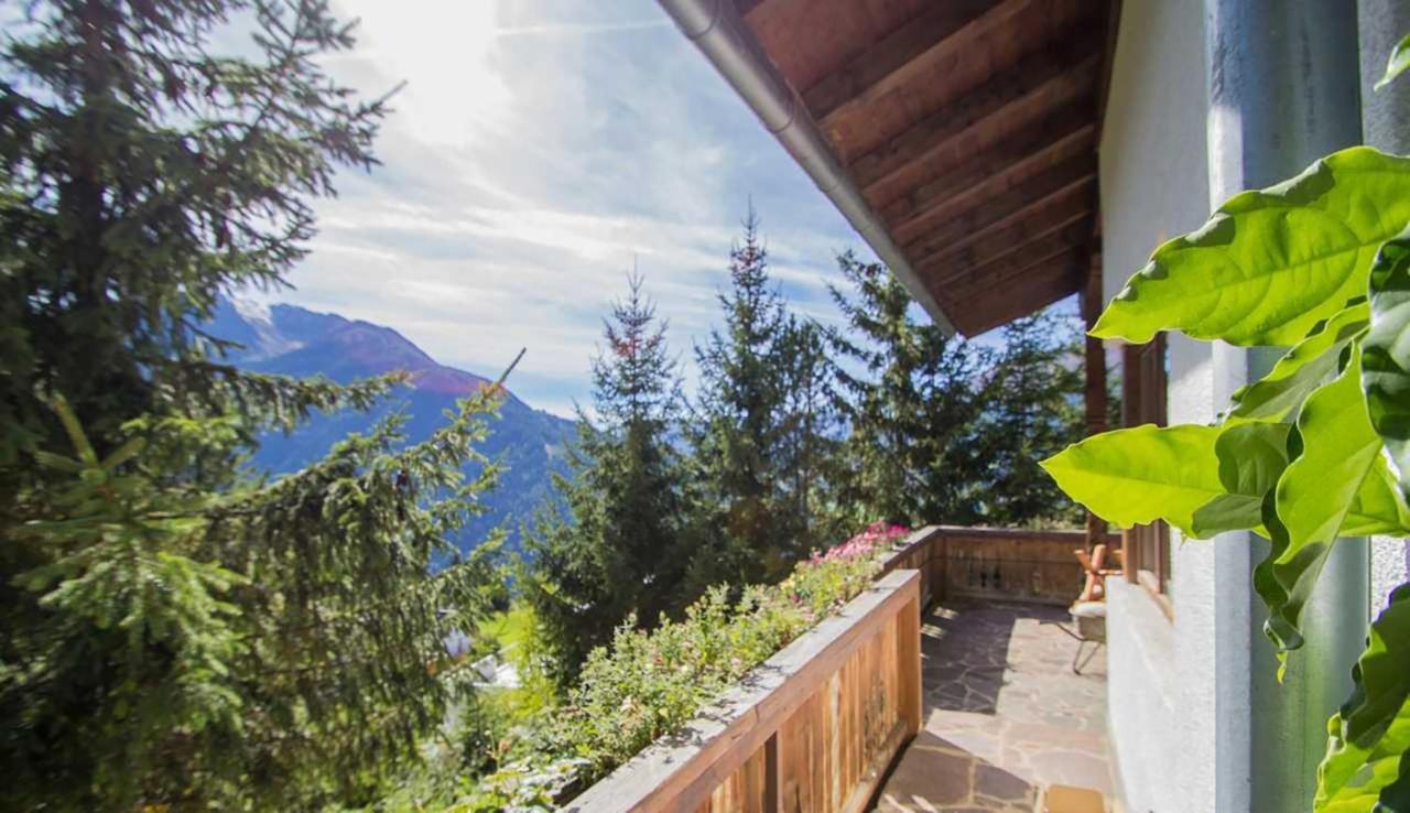 Ferienwohnung 4 Personen Alleinlage Am Wald Naehe Skigebiet Hochzeiger Jerzens Dış mekan fotoğraf