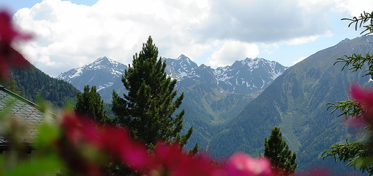 Ferienwohnung 4 Personen Alleinlage Am Wald Naehe Skigebiet Hochzeiger Jerzens Dış mekan fotoğraf